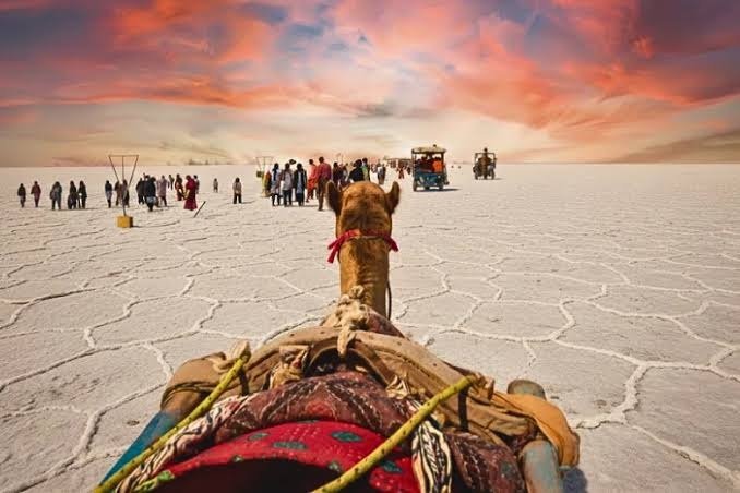 Rann Utsav