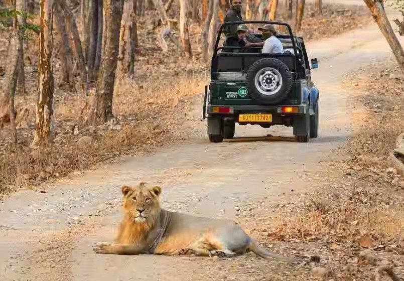 Sasan Gir